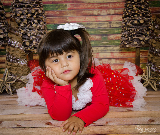 Navidad 2014-1665