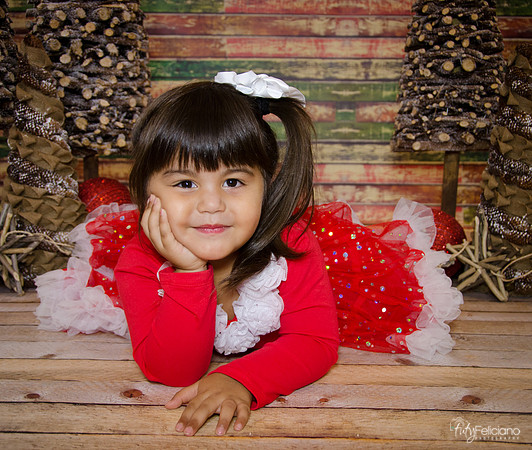 Navidad 2014-1669