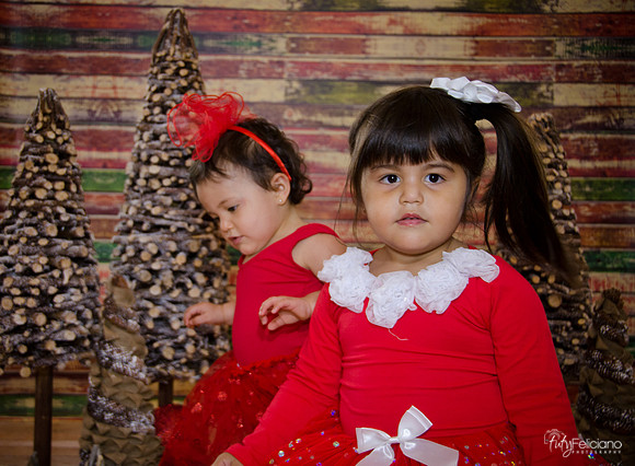 Navidad 2014-1697