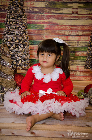 Navidad 2014-1649
