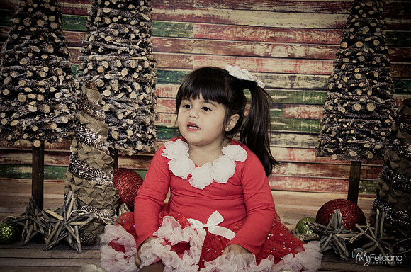 Navidad 2014-1605