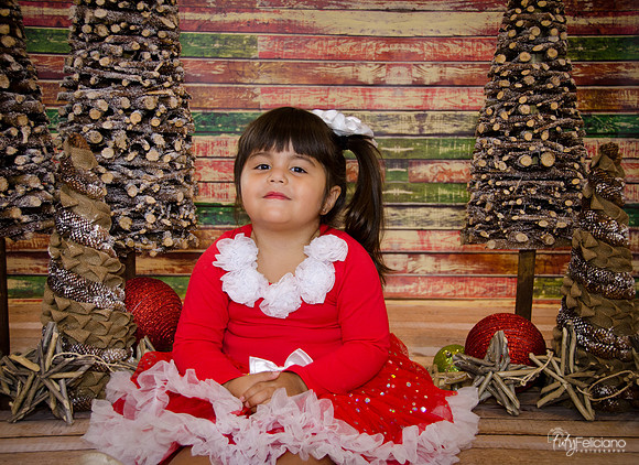 Navidad 2014-1625