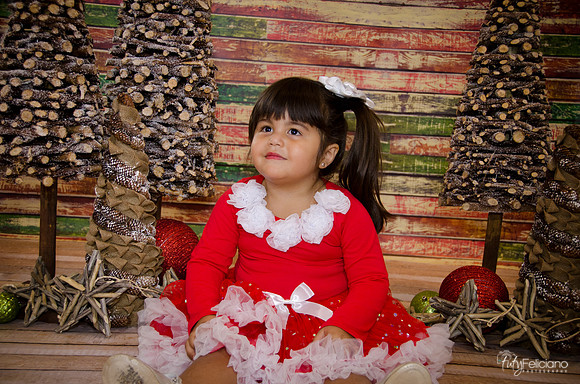 Navidad 2014-1606