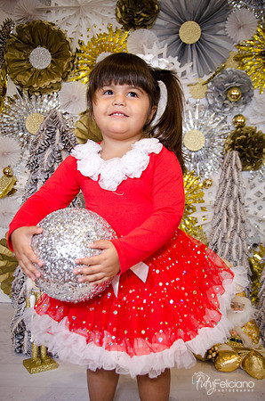 Navidad 2014-1848