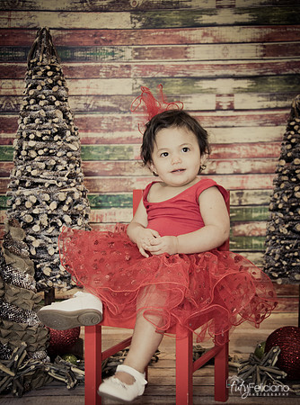 Navidad 2014-1731