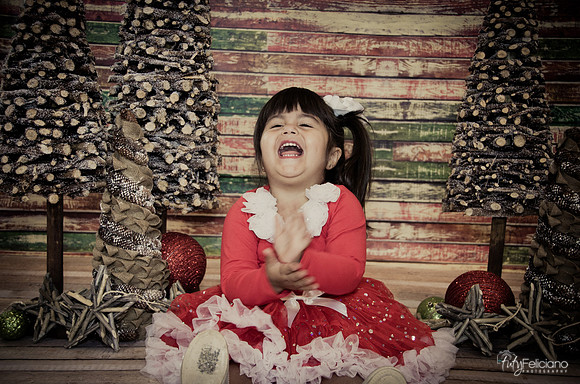 Navidad 2014-1610