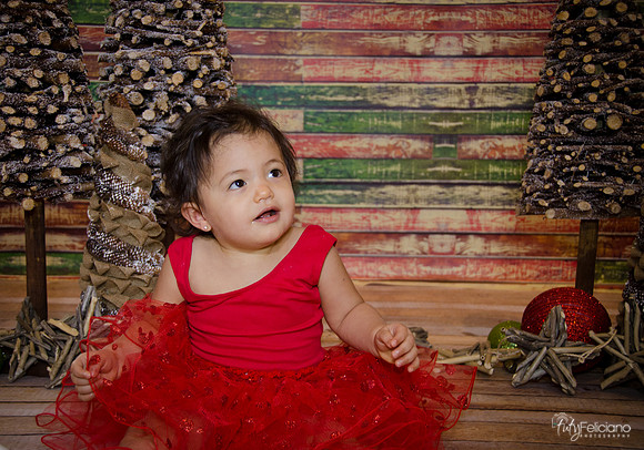 Navidad 2014-1690