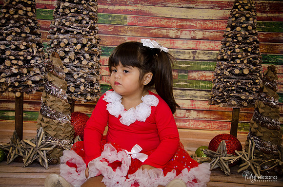 Navidad 2014-1597