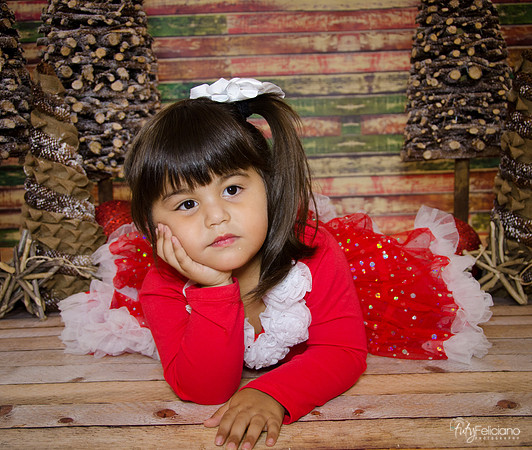 Navidad 2014-1663