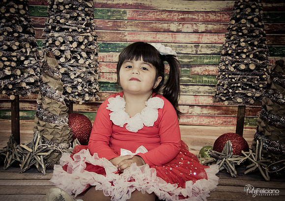 Navidad 2014-1621