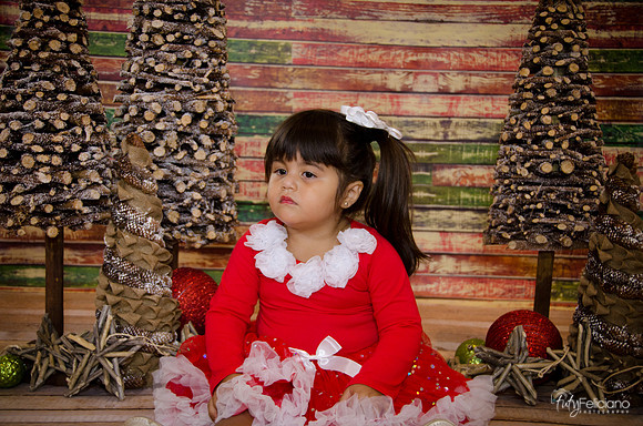 Navidad 2014-1602
