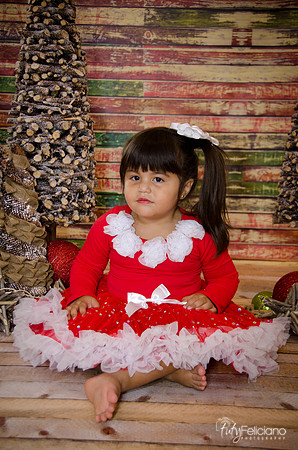 Navidad 2014-1648