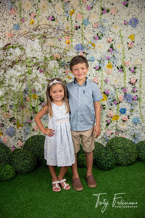 19-Spring-3262