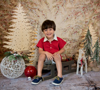 Navidad-432