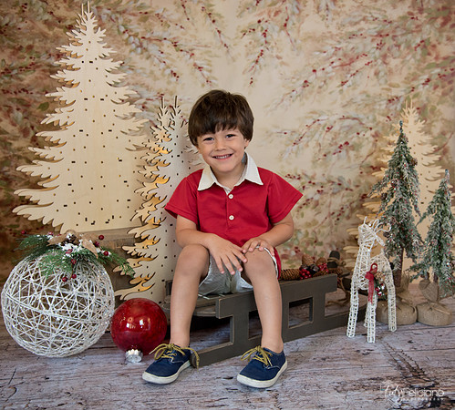 Navidad-432