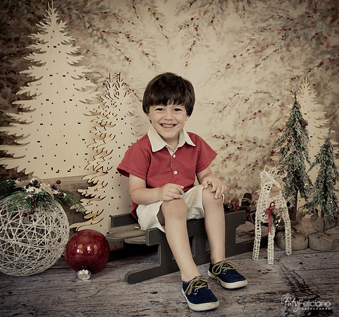 Navidad-452