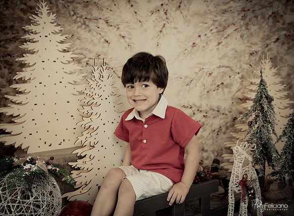 Navidad-442