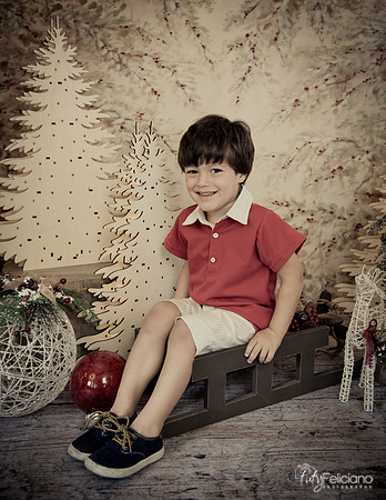 Navidad-439