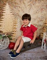 Navidad-438