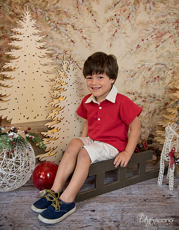 Navidad-438