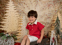 Navidad-444