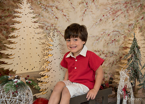Navidad-444