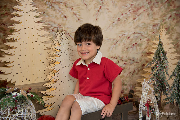 Navidad-441