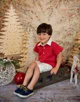 Navidad-440
