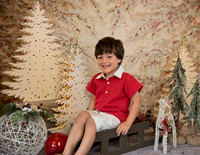 Navidad-445