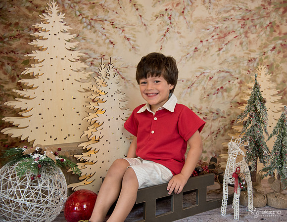Navidad-445