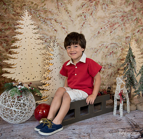 Navidad-434