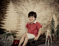 Navidad-446