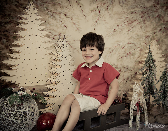 Navidad-446