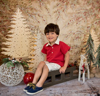 Navidad-435