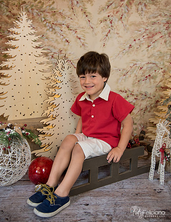 Navidad-437