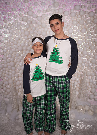2018-fam-1033