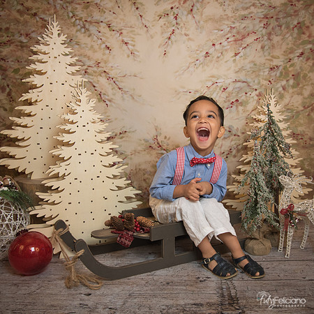 Navidad-11066