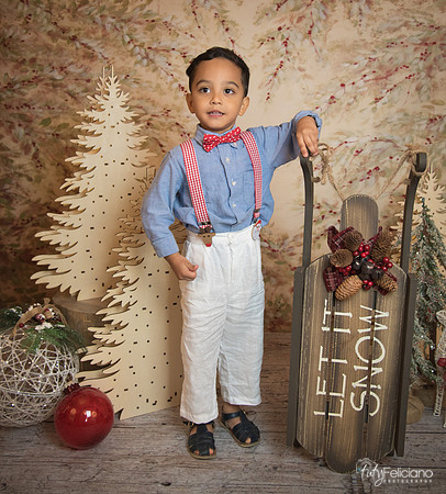 Navidad-11110