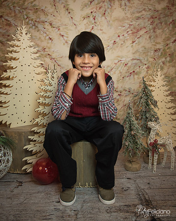 Navidad-11242