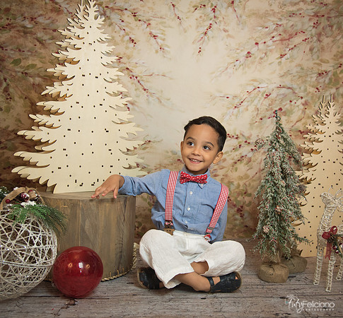 Navidad-11178