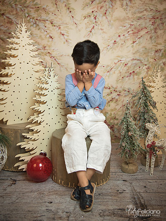 Navidad-11209