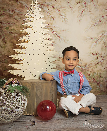 Navidad-11151