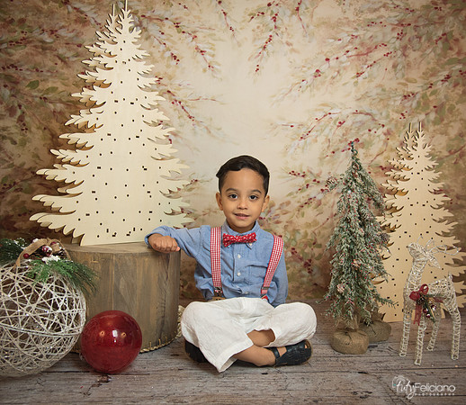 Navidad-11168