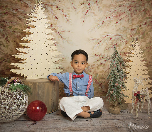 Navidad-11171