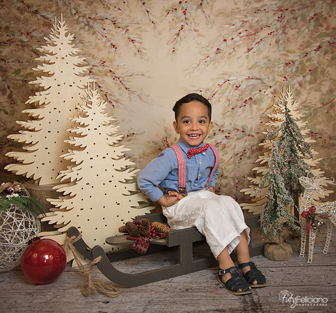 Navidad-11094