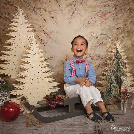 Navidad-11069