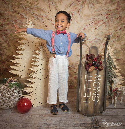 Navidad-11100