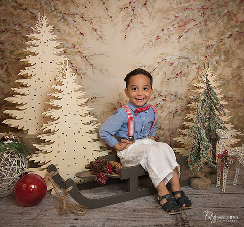 Navidad-11095