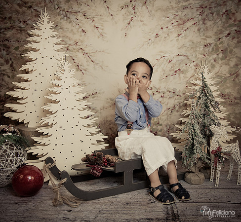 Navidad-11083