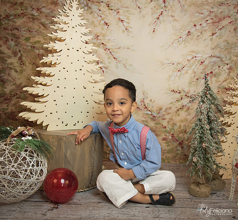 Navidad-11184